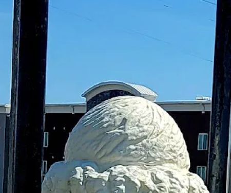 Borglum Roofing