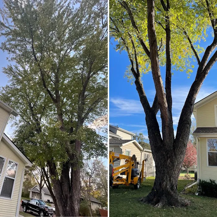 All Around Labor Solutions LLC Picture 5