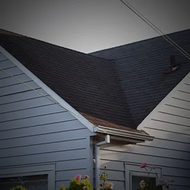 Trinity Exteriors - Rochester Picture 8