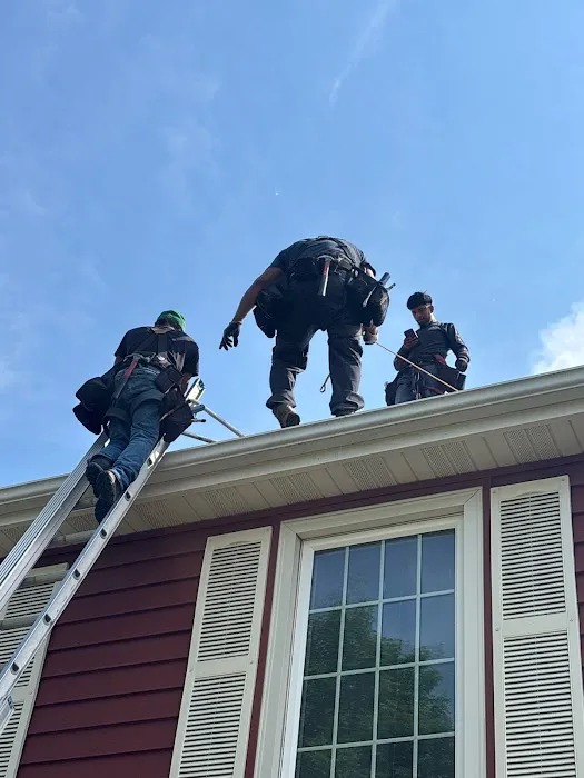 Gray Duck Roofing Picture 2
