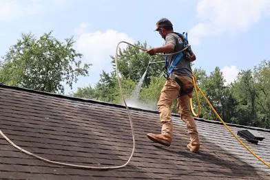 EvoluShingle Picture 2