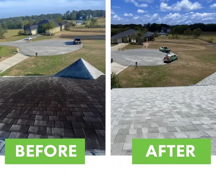 EvoluShingle Picture 5