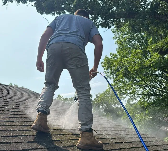 EvoluShingle Picture 7