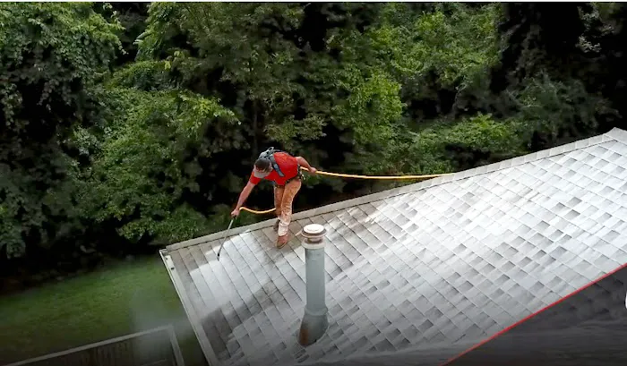 EvoluShingle Picture 8