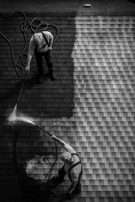 EvoluShingle Picture 10