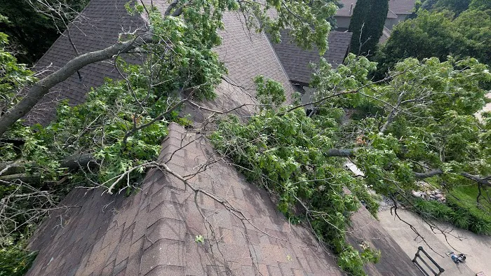 Higher Dimensions Roofing Picture 7