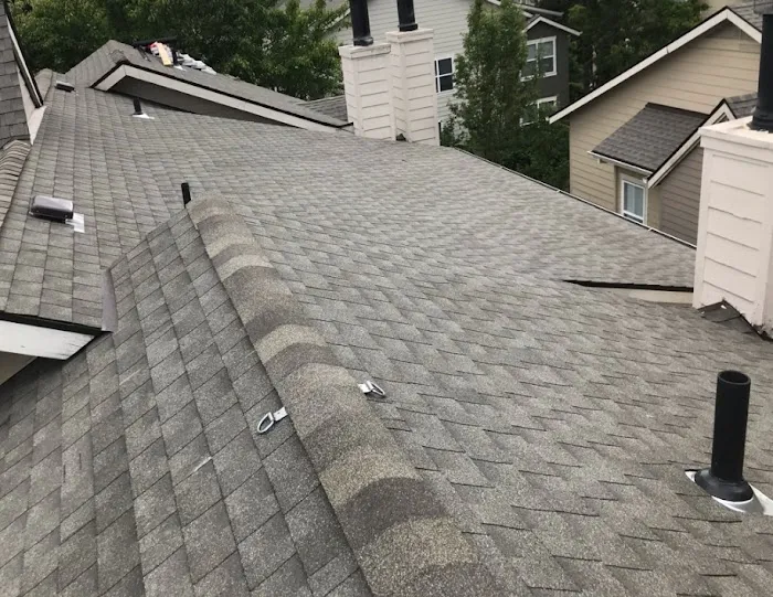 LW Haugen Roofing LLC Picture 3