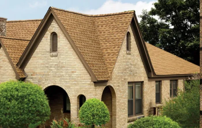 Lutgen Companies Picture 9