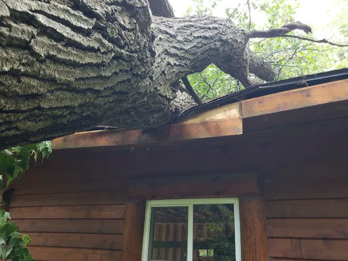 Orange Roofing LLC Picture 10