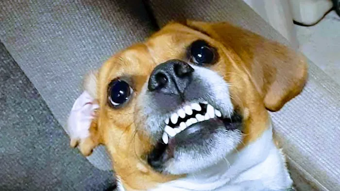 Anderson's Seamless Inc Picture 4