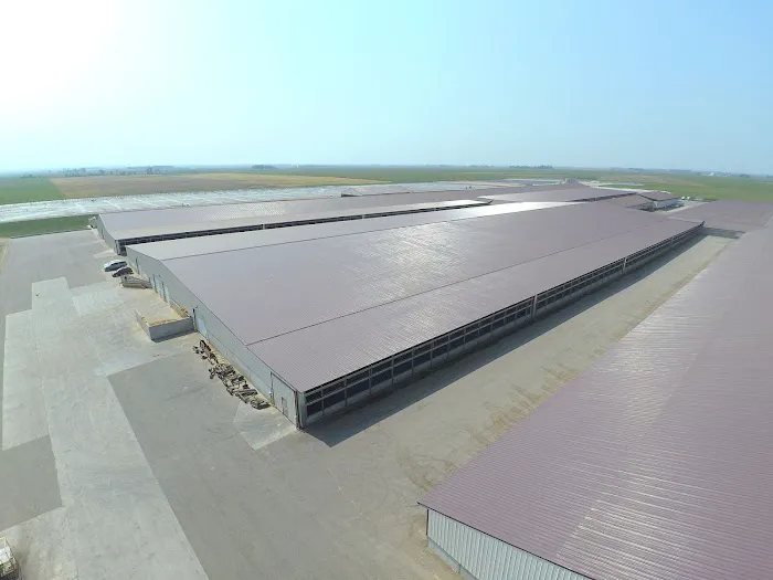 Schmidt Roofing Picture 7