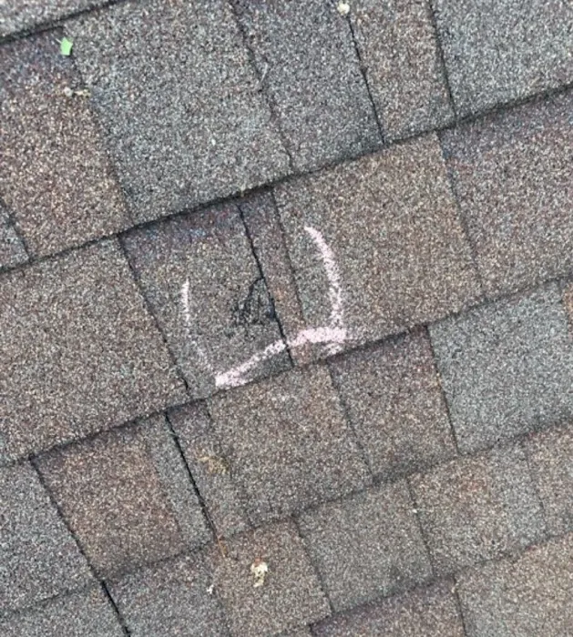 Archcraft Exteriors Picture 8