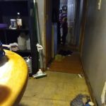 Efficient Exteriors, LLC