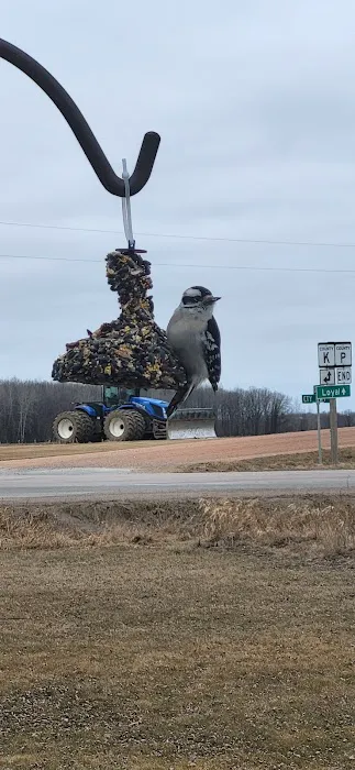 771 Roof And Construction LLC Picture 2