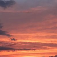 771 Roof And Construction LLC ico