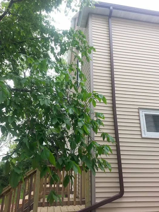 Above the Edge Exteriors Picture 9