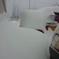 Maurer's Roofing ico