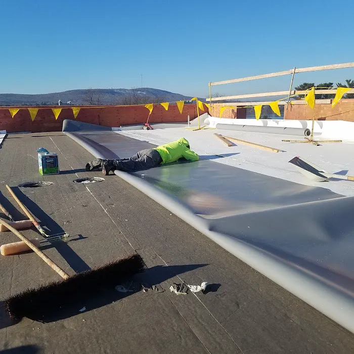 Quality Roofing Inc Picture 6