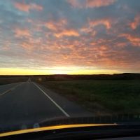 Quality Home Improvement ico