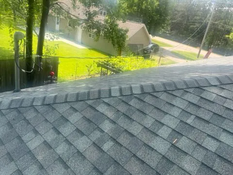 Dynamic Alliance Roofing Picture 3