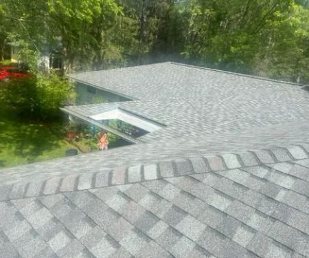 Dynamic Alliance Roofing