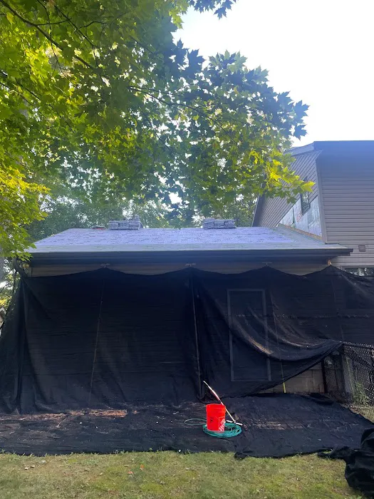 Roofing and Exterior Repairs Picture 7