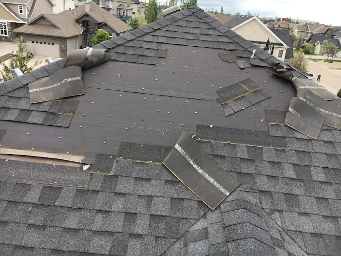 Tampa Roofing Repair Picture 4