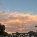 Tampa Roofing Repair