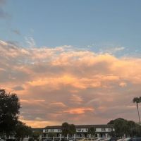 Tampa Roofing Repair ico