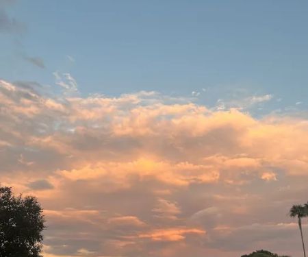 Tampa Roofing Repair