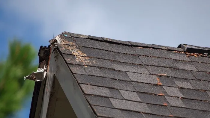 Rainier Roofing LLC Picture 2