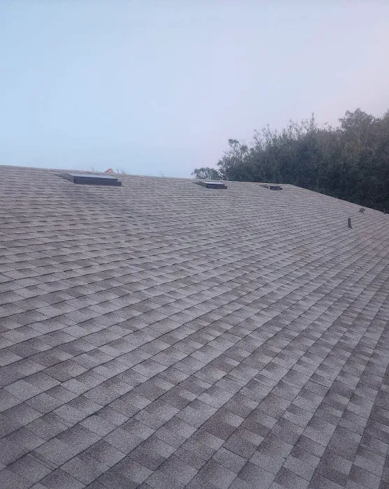 3MG Roofing & Solar (Tampa) Picture 7