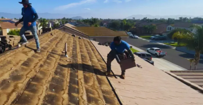 Tampa Shield Roof Pro Picture 3