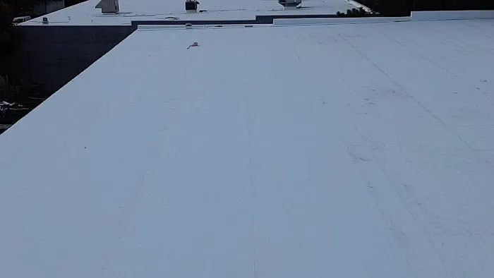 Tampa Pro Roofing Picture 3