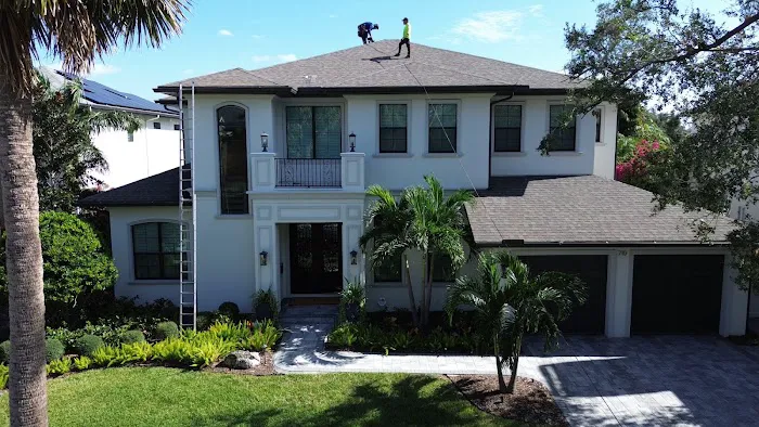 Roof Panda Picture 2