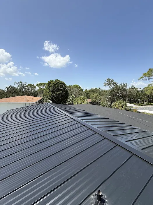 Roof Panda Picture 8