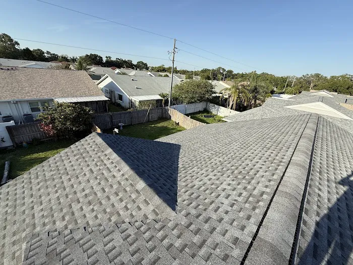 Roof Panda Picture 5