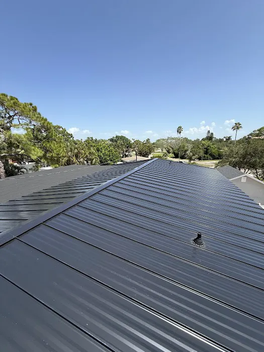 Roof Panda Picture 3