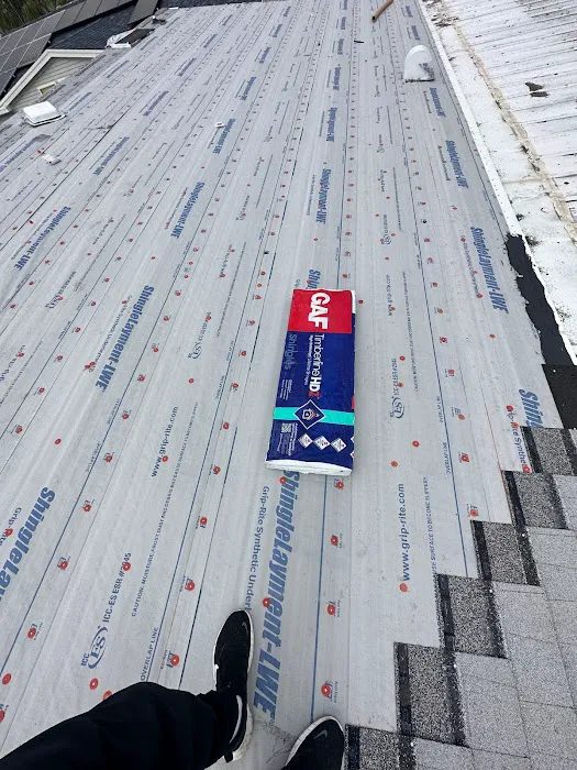 Roof Panda Picture 6