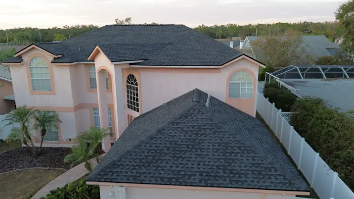 Roof Panda Picture 7