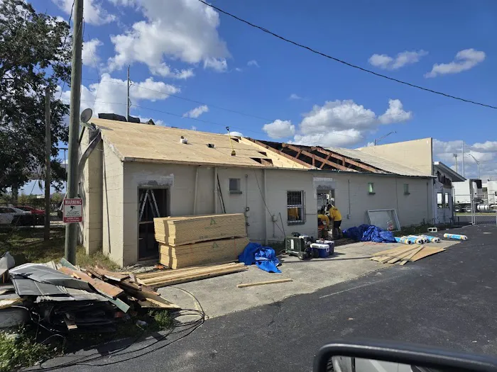 Roof Panda Picture 9