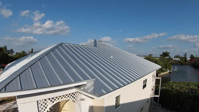 Roof Panda Picture 4