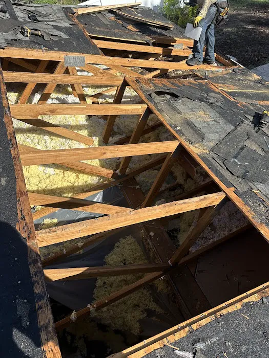 Mighty Dog Roofing of West Tampa Picture 3