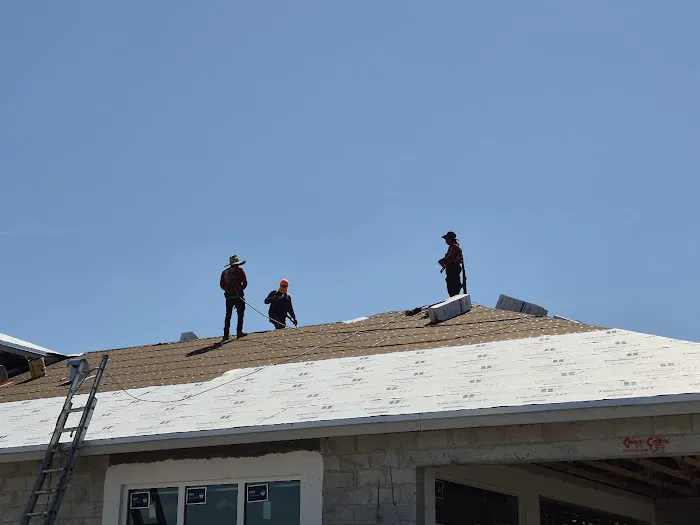 Action Roofing Picture 1