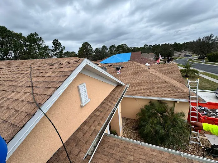 Terrasun Roofing Picture 6