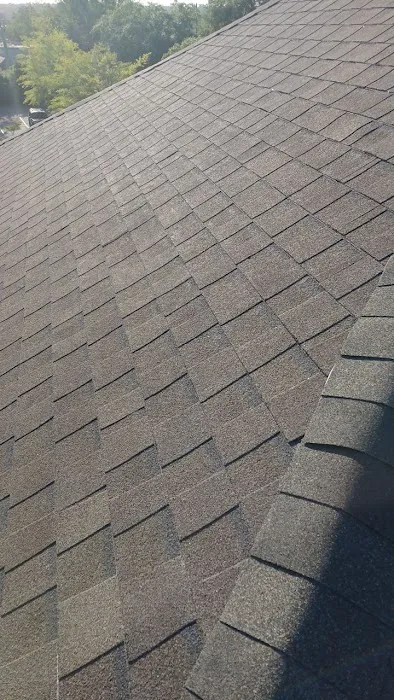 Avatar Construction 2 Picture 6