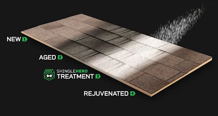 Shingle Hero Picture 8