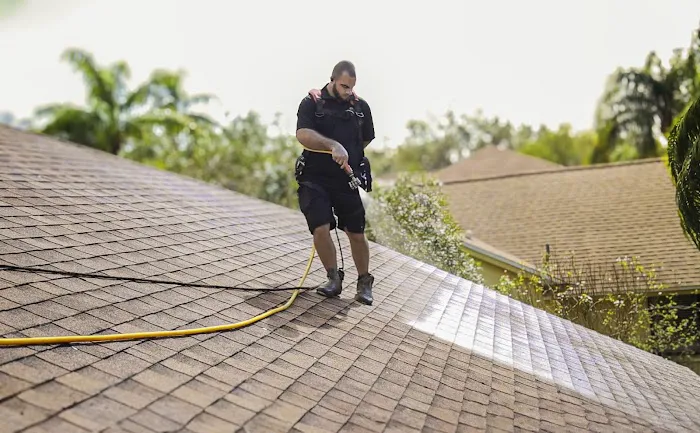 Shingle Hero Picture 4