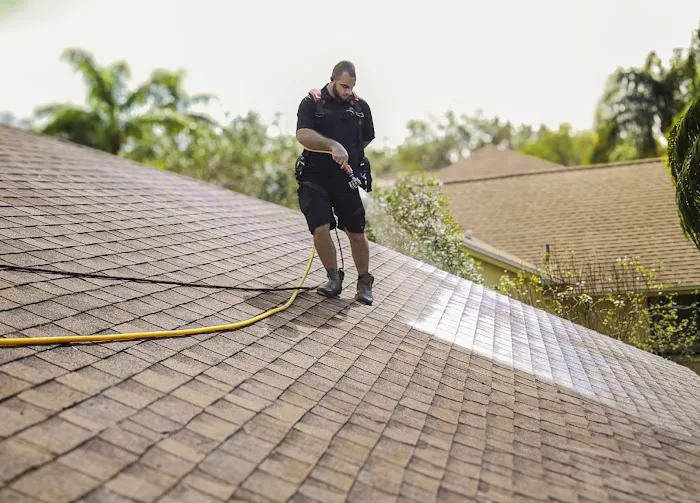 Shingle Hero Picture 5