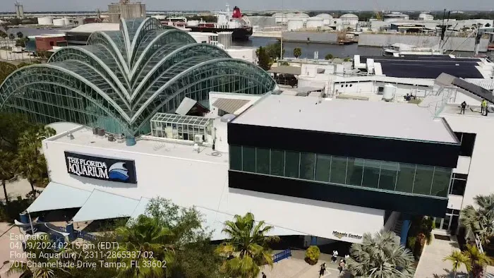 Elite Roofing Services, Inc. Picture 5